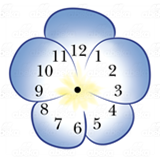 Violet Flower Clock