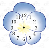 Violet Flower Clock