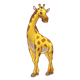 Giraffe with neck turned