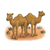 Two Brown Camels Color PDF