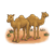 Two Brown Camels Color PNG