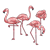 Four Pink Flamingoes Color PNG