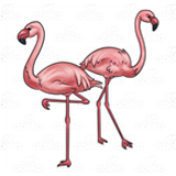 Two Flamingoes