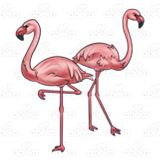 Two Flamingoes