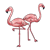 Two Flamingoes Color PNG