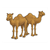 Two Brown Camels Color PDF