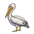 Gray Pelican Color PDF