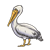 Gray Pelican Color PNG