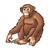 Chimpanzee Color PDF