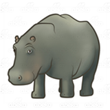 Gray Hippo