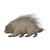 Gray Porcupine Color PDF