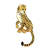 Cheetah Color PDF
