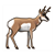 Brown Antelope Color PDF