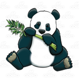 Panda Bear