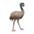 Emu Color PDF