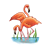 Two Pink Flamingoes Color PNG
