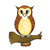Owl Color PDF