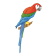 Blue Parrot with red and green wings