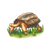 Giant Brown Tortoise Color PNG