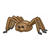 Brown Spider Color PDF