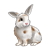 White Rabbit Color PNG