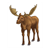 Male Moose Color PDF
