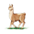 Brown Llama Color PNG