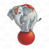 Circus Elephant