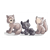 Baby Wolf Pups Color PDF