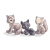 Baby Wolf Pups Color PNG