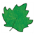 Sugar Maple Leaf Color PDF
