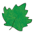 Sugar Maple Leaf Color PNG