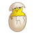 Yellow Chick Color PNG