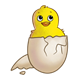 Yellow Chick inside broken shell