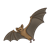 Brown Bat Flying Color PNG