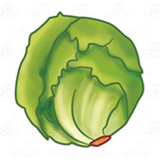 Lettuce Head 2