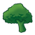 Broccoli Color PNG