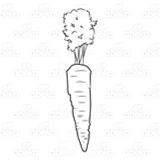 Long Carrot