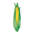 Small Ear of Corn Color PDF