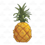 Whole Pineapple