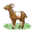 Brown Goat Color PDF