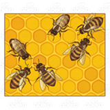 Six Honeybees