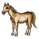 Brown Horse with brown mane, standing sideways
