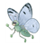 Adult Moth Color PDF