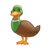 Duck Color PDF