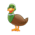 Duck Color PNG