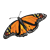 Monarch Butterfly Color PNG