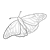 Monarch Butterfly Line PNG
