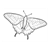 Swallowtail Butterfly Line PDF