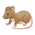 Brown Mouse Color PDF